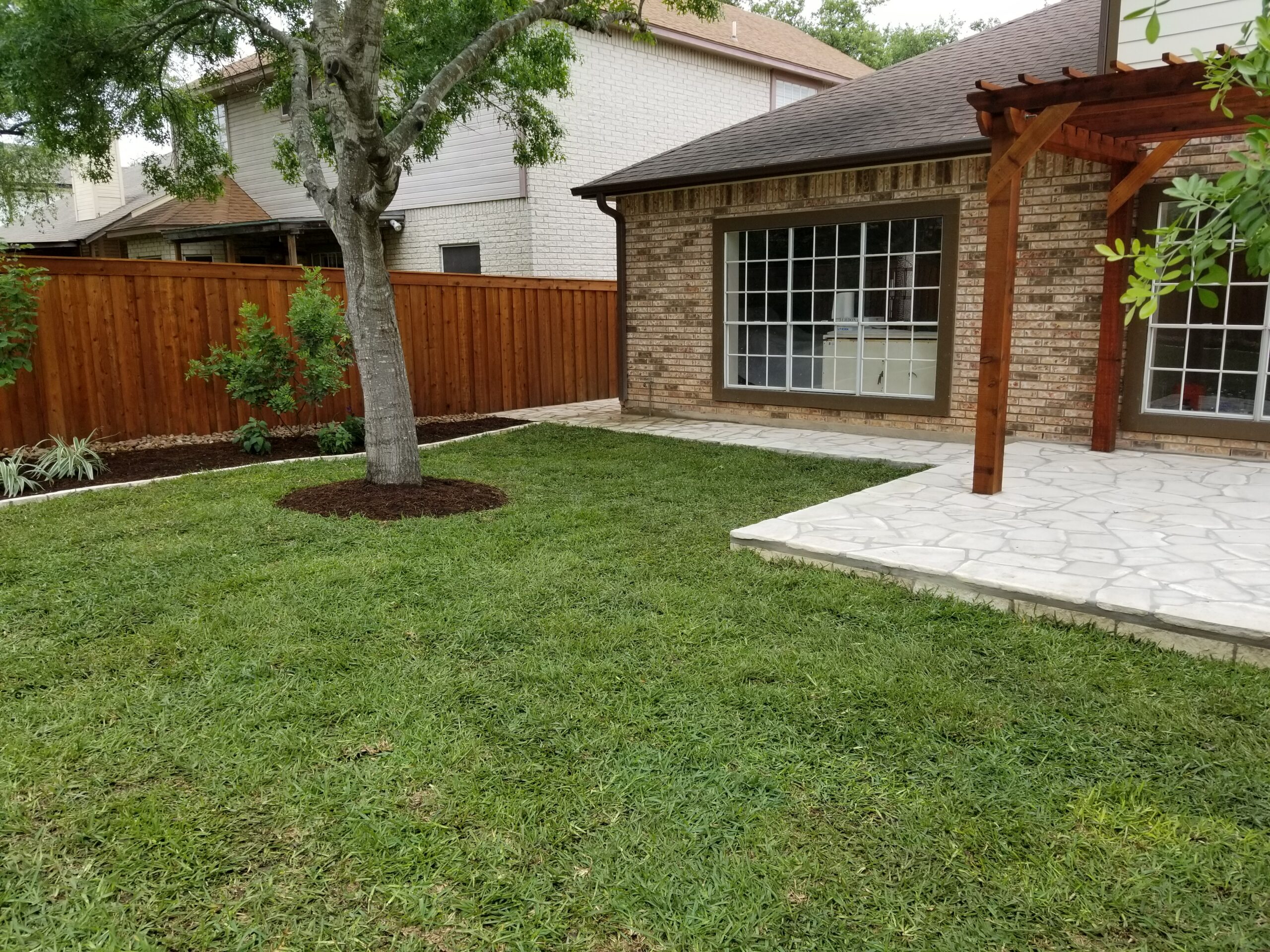 Yard Cleaning